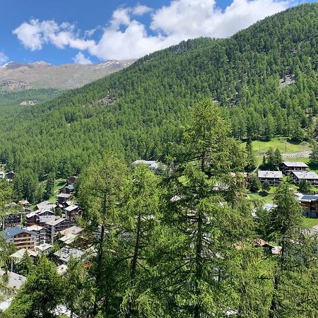 Appartements Zermatt Paradies Dış mekan fotoğraf