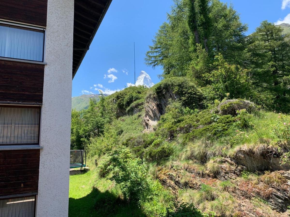 Appartements Zermatt Paradies Dış mekan fotoğraf